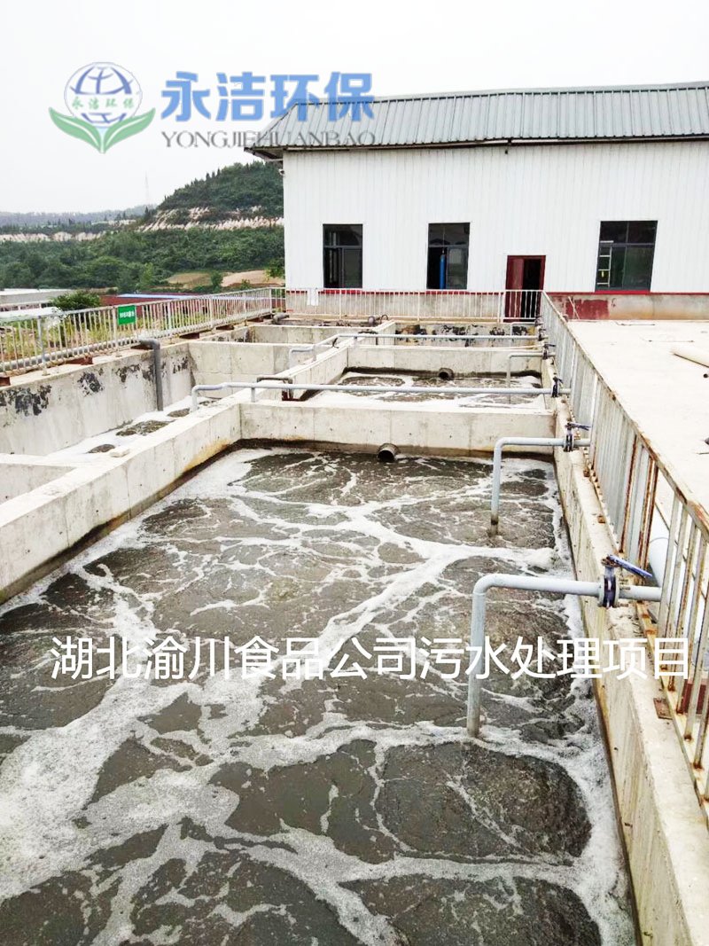 湖北渝川泡菜废水开云(中国)